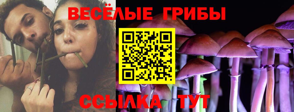 Йошкар-Ола  Галлюциногенные грибы Cubensis  Вход с VPN 